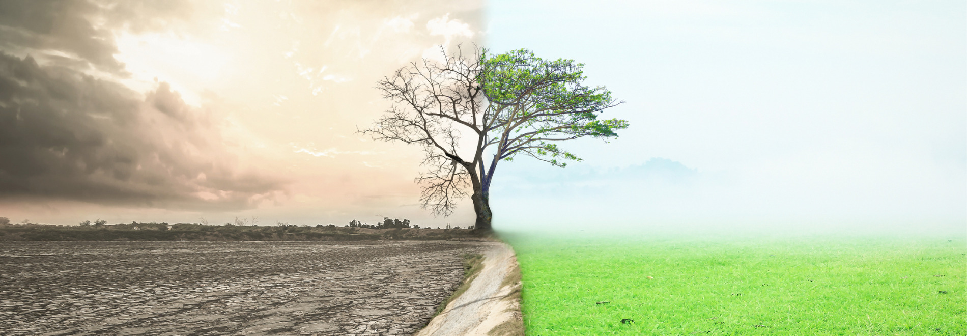 Banner Slide 1
